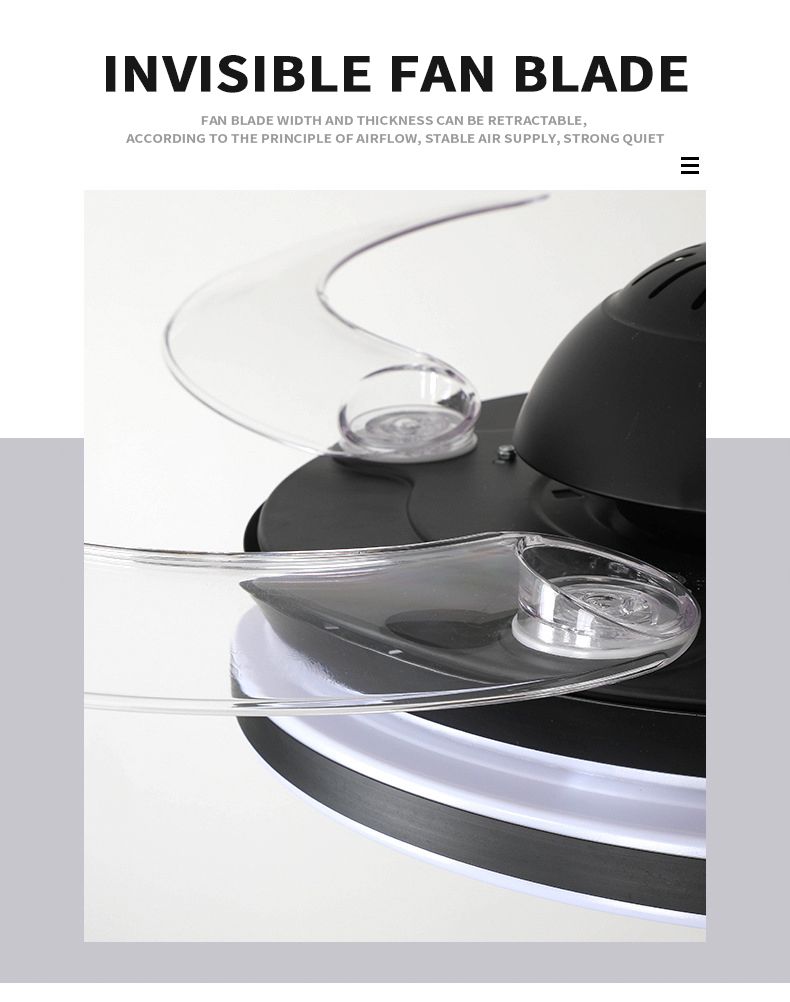 Modern Ceiling Fan with Lights