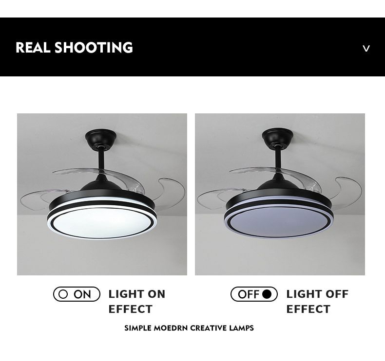 Modern Ceiling Fan with Lights